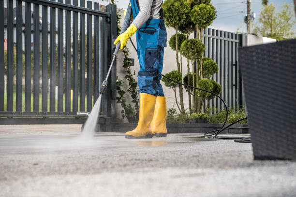 Best Pool Deck Cleaning  in Rkesburg, PA