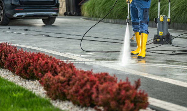 Best Gutter Cleaning  in Rkesburg, PA